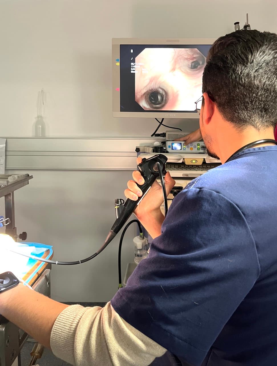 Endoscopie vétérinaire
