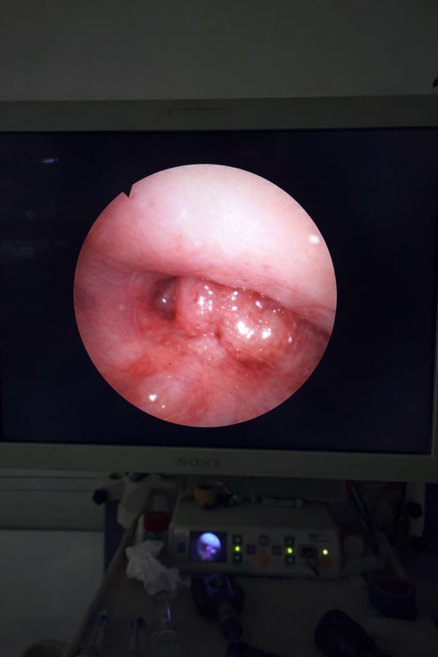 Endoscopie vétérinaire