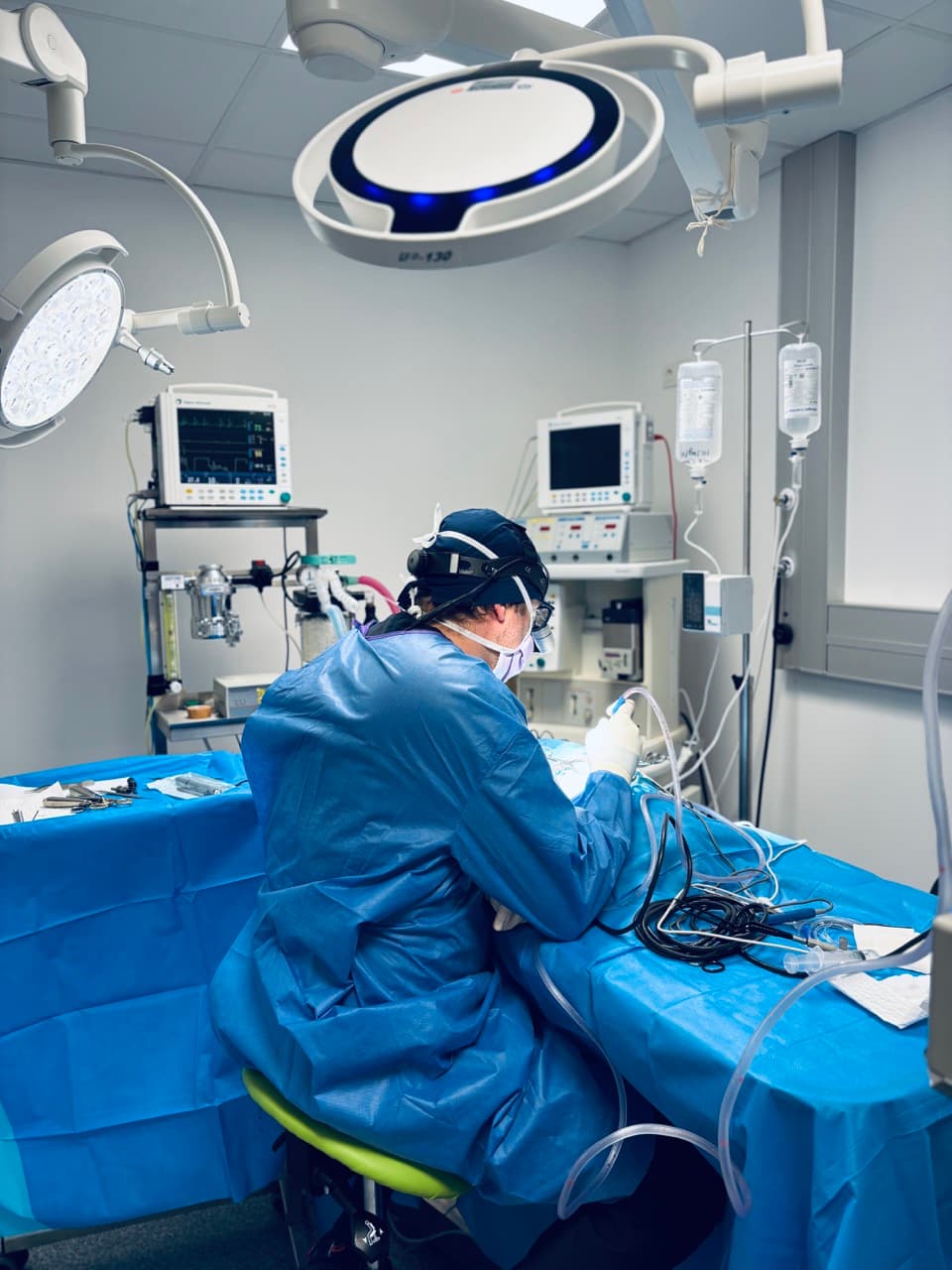 Chirurgie Vétérinaire