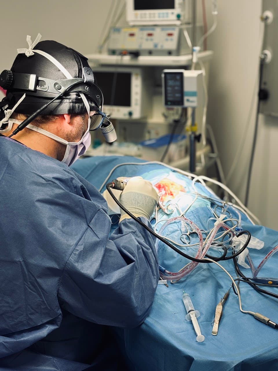 Chirurgie Vétérinaire