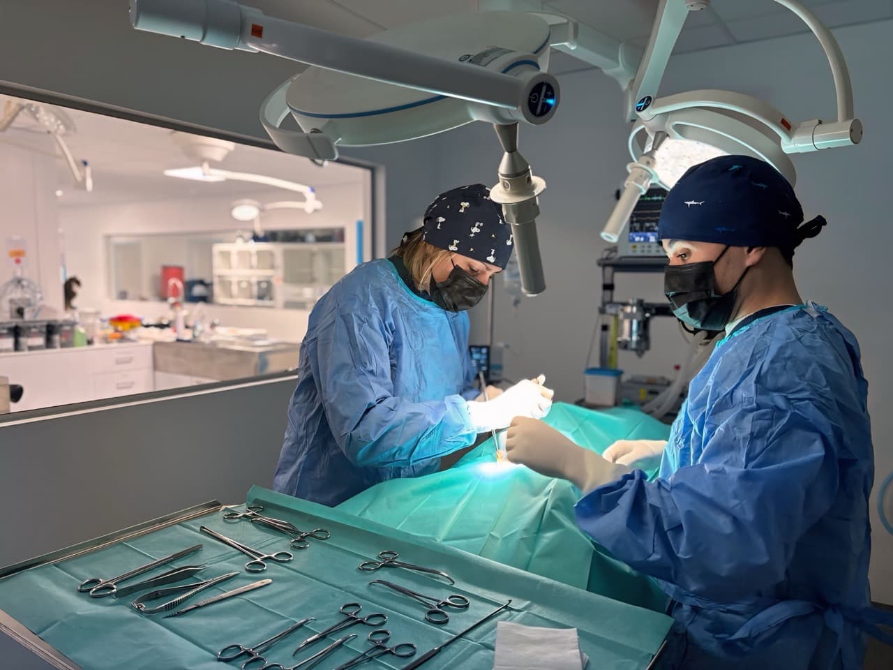 Chirurgie Vétérinaire