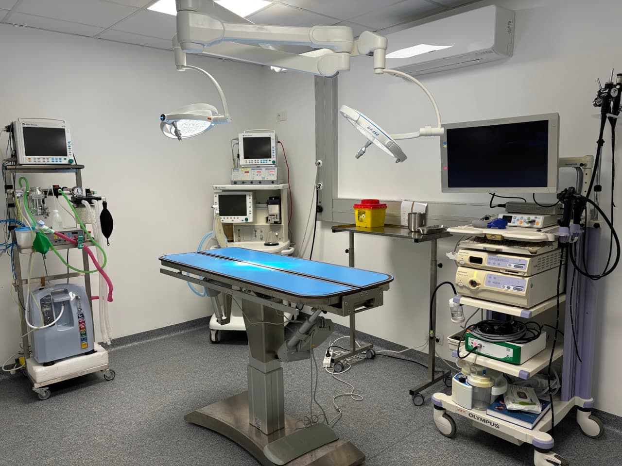 Chirurgie Vétérinaire