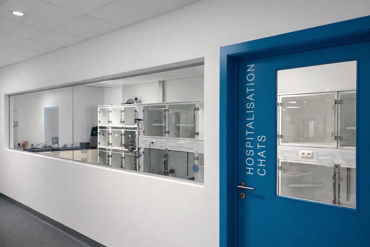 Médecine interne