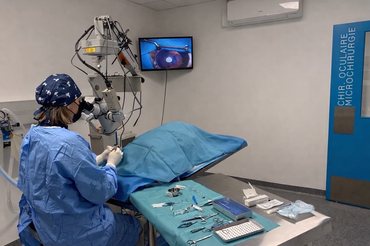 Ophtalmologie vétérinaire