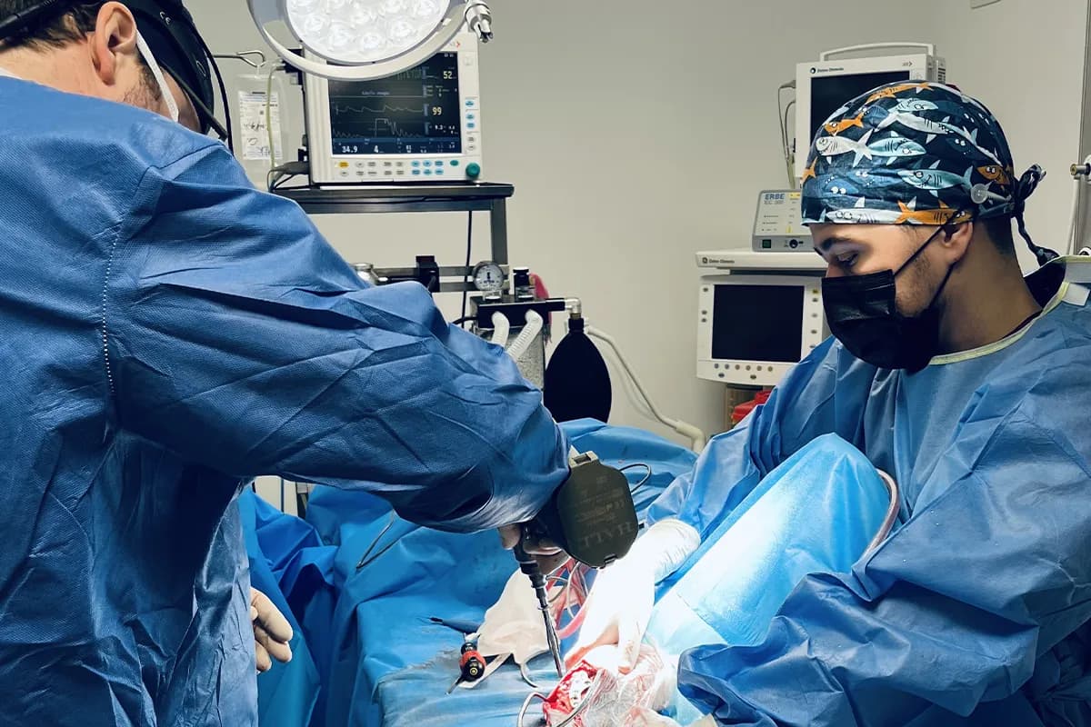 Chirurgie orthopédique – rupture du ligament croisé